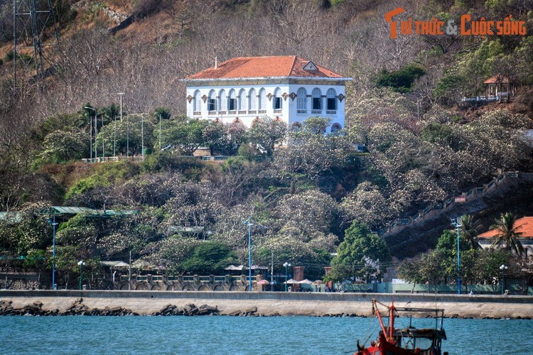 Chuyen tinh de vuong it nguoi biet o Bach Dinh Vung Tau