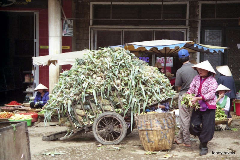 Goc nhin cuc la ve pho nui Da Lat nam 1996-Hinh-5