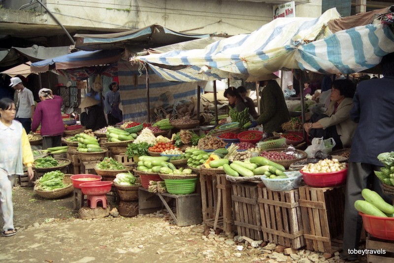 Goc nhin cuc la ve pho nui Da Lat nam 1996-Hinh-8