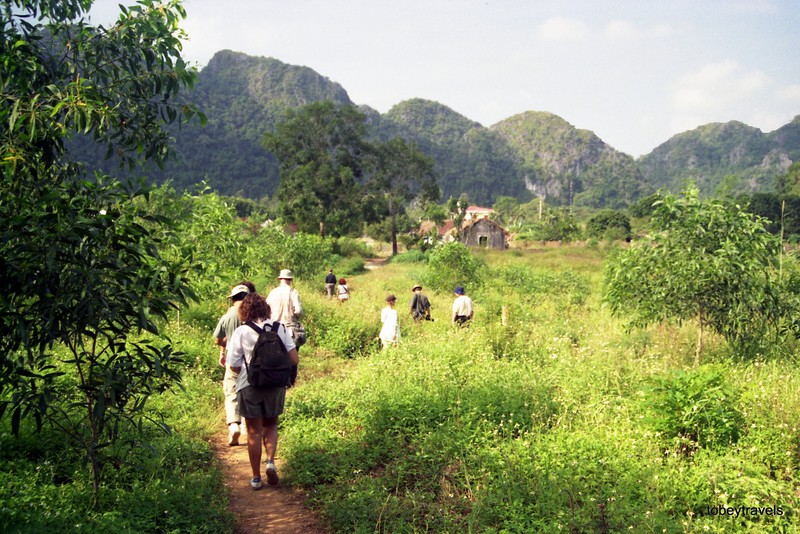 Anh sieu hiem ve doi thuong o dao Cat Ba 26 nam truoc-Hinh-7