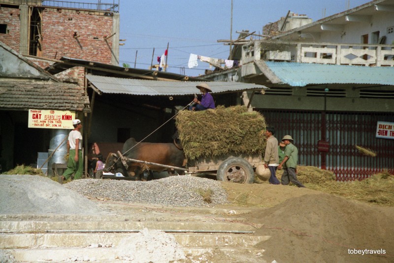 Buc tranh binh yen ve vung que Ha Tay nam 1996-Hinh-2