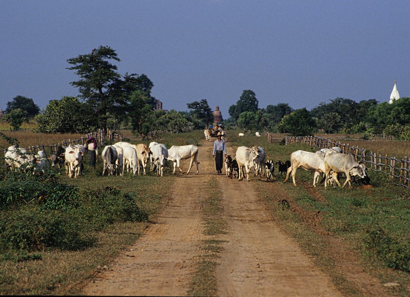 Anh de doi ve dat nuoc Myanmar nam 1992-Hinh-10