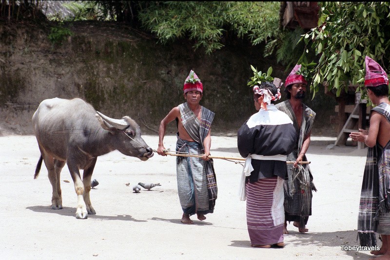 Bat ngo cuoc song cua cu dan “Viet co” o dao Sumatra nam 1998-Hinh-7