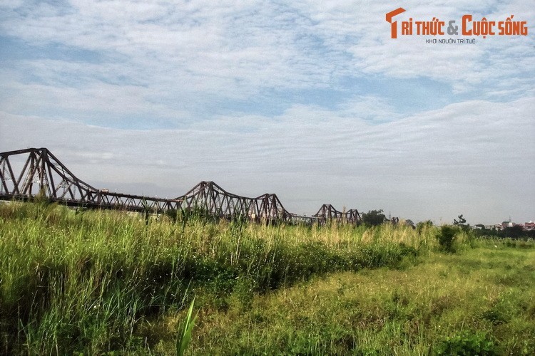 Ba cay cau tram tuoi noi tieng nhat ba mien Viet Nam-Hinh-2