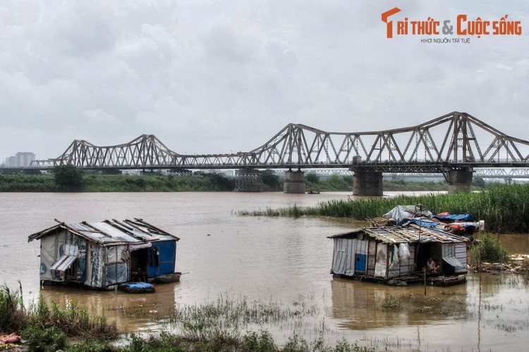 Ba cay cau tram tuoi noi tieng nhat ba mien Viet Nam