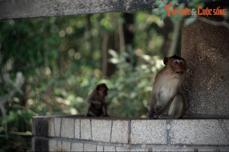 Tiet lo 10 bi mat cuc thu vi ve Toa Thanh Tay Ninh-Hinh-6