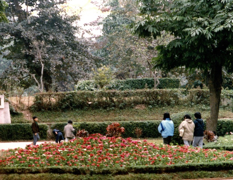 Mat mat voi nhung con duong rop bong cay o Ha Noi nam 1990-Hinh-11