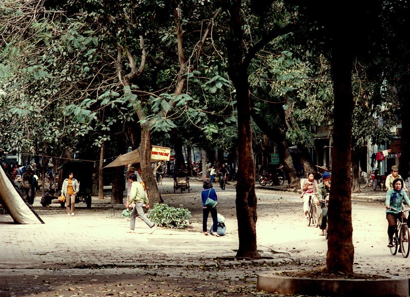 Mat mat voi nhung con duong rop bong cay o Ha Noi nam 1990-Hinh-3