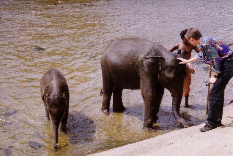 Cuc thu vi trai nghiem cuoc song o Sri Lanka nam 1993-Hinh-10