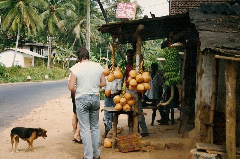 Cuc thu vi trai nghiem cuoc song o Sri Lanka nam 1993-Hinh-12