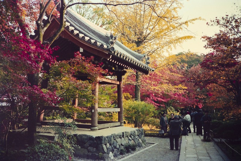 Ngan nguoi truoc ve dep mua thu Kyoto nam 1990-Hinh-7