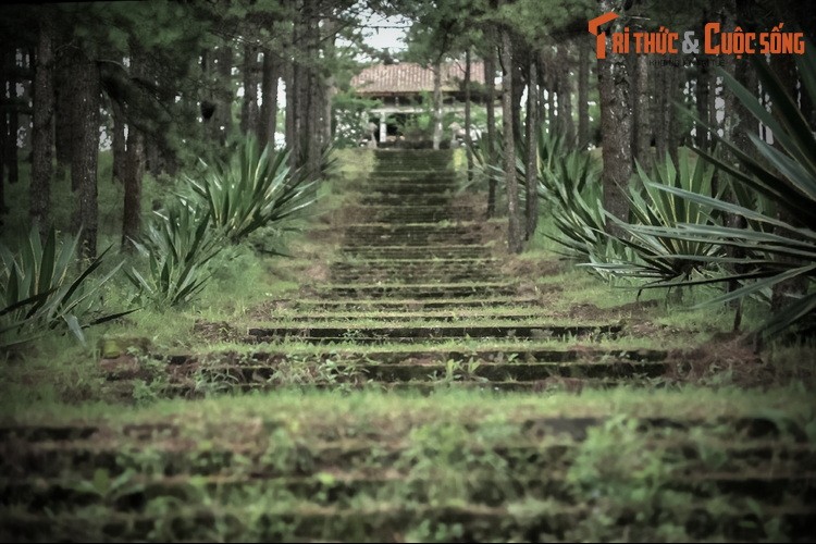 Lanh nguoi lang mo da trong vang cua song than Nam Phuong hoang hau-Hinh-10