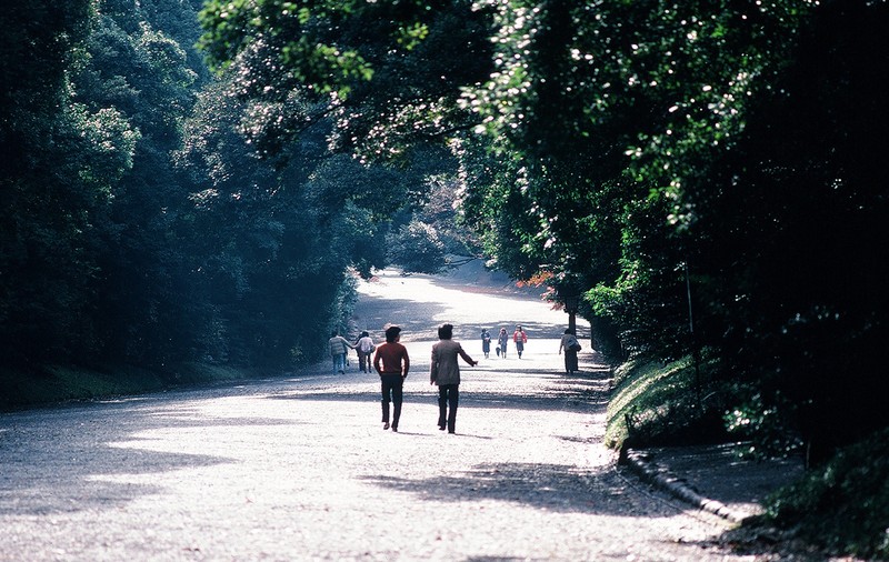 Loat anh vo cung hap dan ve thanh pho Tokyo nam 1980-Hinh-4