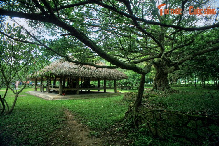 Noi ra quyet dinh Tong khoi nghia trong Cach mang Thang Tam 1945-Hinh-3