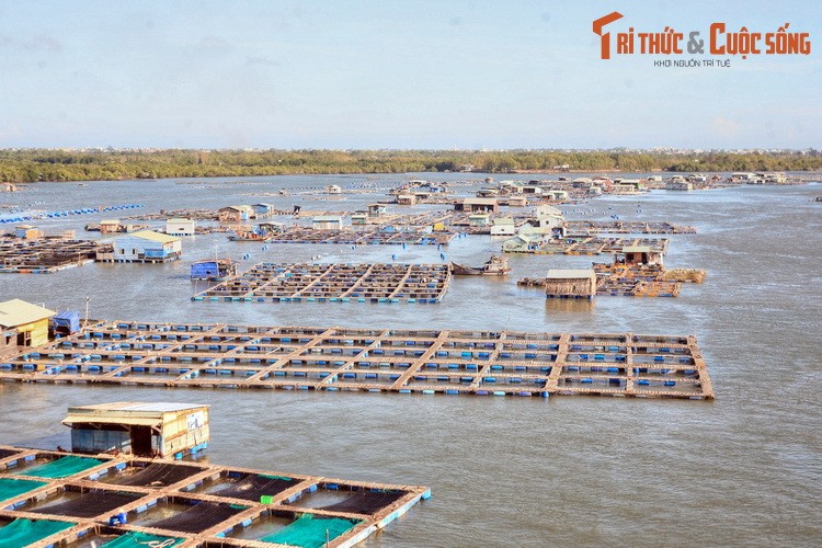 Nhung dieu thu vi phai kham pha o dao “Rong” canh Vung Tau-Hinh-6