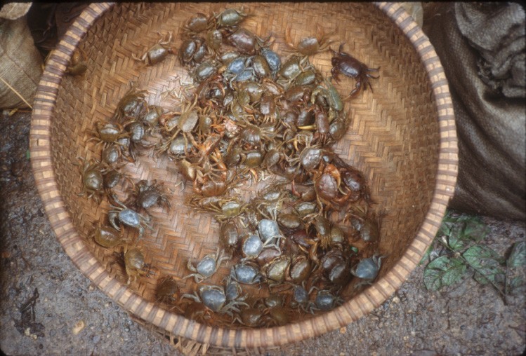 Anh qua quy, phai xem ve Ha Noi nam 1989-Hinh-15