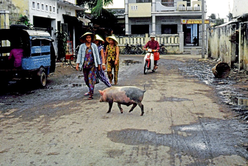 Ba mien Viet Nam dau thap nien 1990 qua anh cua pho nhay Phap (1)-Hinh-11