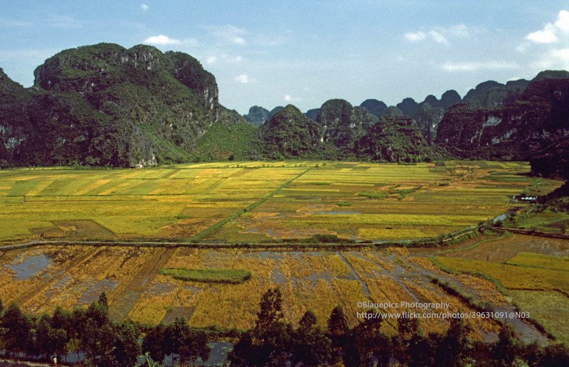 Anh tuyet voi ve vung dat Ninh Binh nam 1998 qua ong kinh Tay-Hinh-6