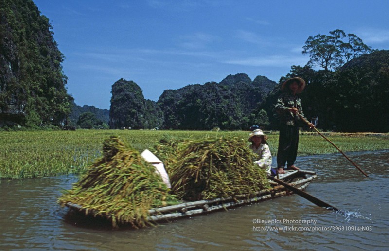 Anh tuyet voi ve vung dat Ninh Binh nam 1998 qua ong kinh Tay-Hinh-8