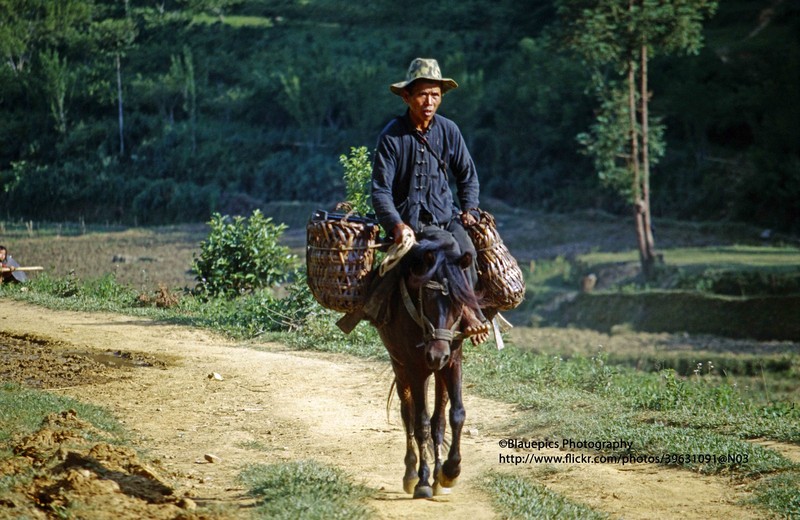 Loat anh dep nhu tranh ve ve cuoc song o Bac Ha, Lao Cai nam 1998-Hinh-12