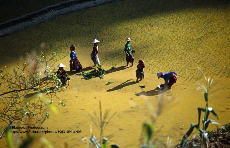 Loat anh dep nhu tranh ve ve cuoc song o Bac Ha, Lao Cai nam 1998-Hinh-14