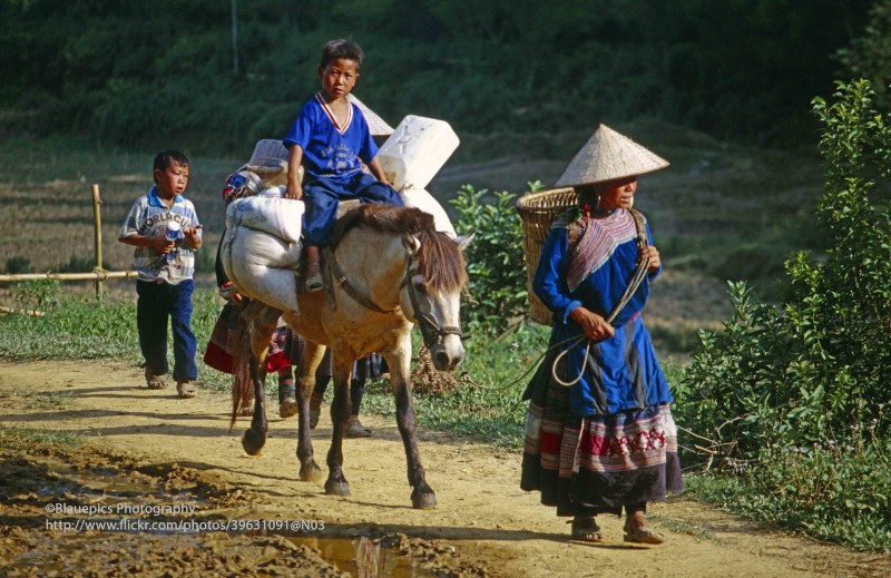 Loat anh dep nhu tranh ve ve cuoc song o Bac Ha, Lao Cai nam 1998-Hinh-15