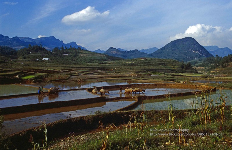 Loat anh dep nhu tranh ve ve cuoc song o Bac Ha, Lao Cai nam 1998-Hinh-6