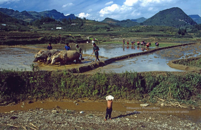 Loat anh dep nhu tranh ve ve cuoc song o Bac Ha, Lao Cai nam 1998-Hinh-7