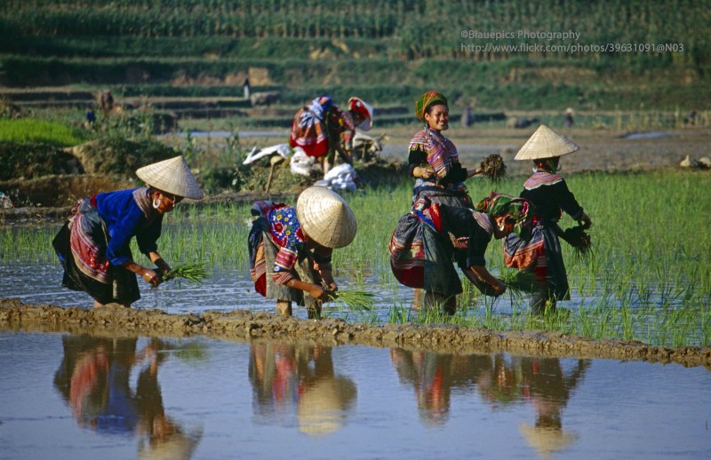 Loat anh dep nhu tranh ve ve cuoc song o Bac Ha, Lao Cai nam 1998-Hinh-8