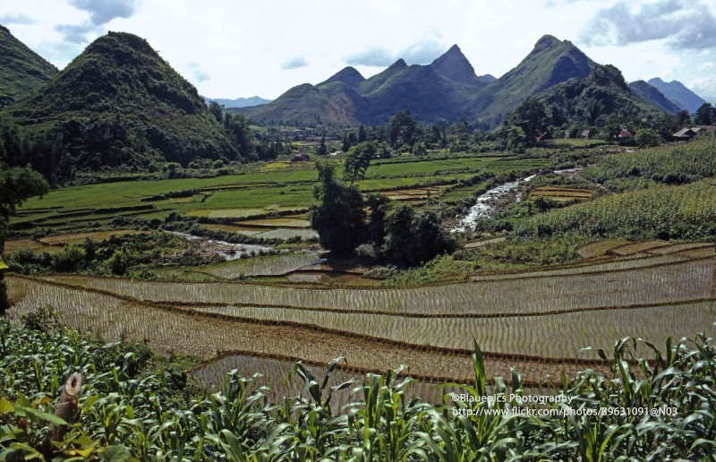 Anh sieu quy hiem ve con nguoi va canh vat Lai Chau nam 1998-Hinh-12