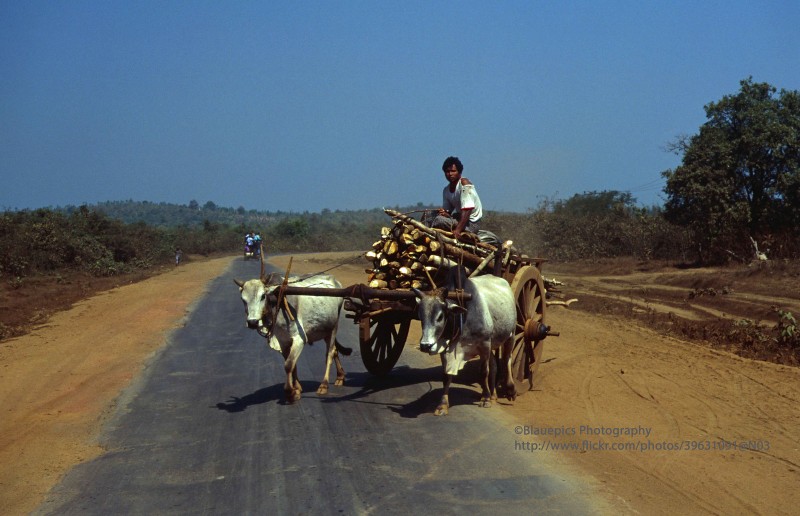 Loat anh cuc sinh dong ve dat nuoc Myanmar nam 1996 (1)-Hinh-12