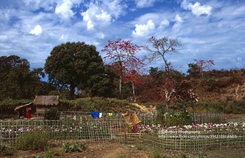 Loat anh cuc sinh dong ve dat nuoc Myanmar nam 1996 (2)-Hinh-10