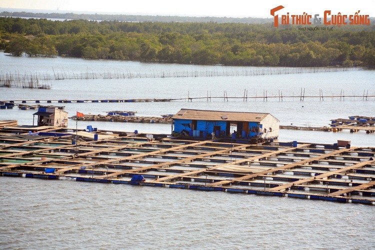 Nhung dieu cuc thu vi o lang be noi tieng nam canh Vung Tau-Hinh-10