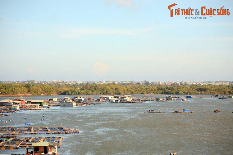 Nhung dieu cuc thu vi o lang be noi tieng nam canh Vung Tau-Hinh-15