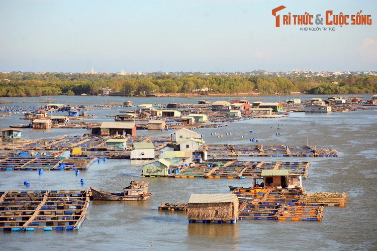 Nhung dieu cuc thu vi o lang be noi tieng nam canh Vung Tau-Hinh-3