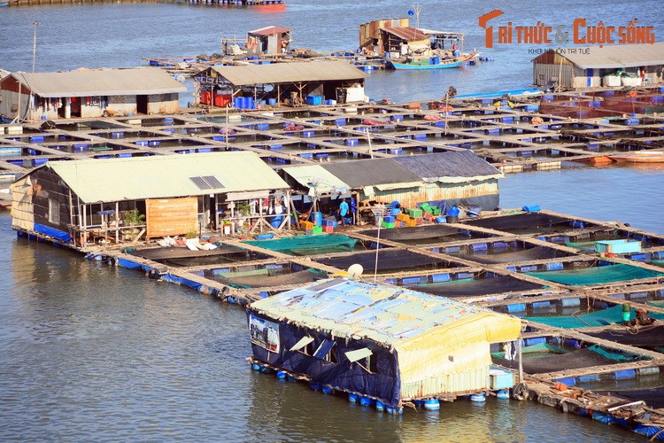 Nhung dieu cuc thu vi o lang be noi tieng nam canh Vung Tau-Hinh-6