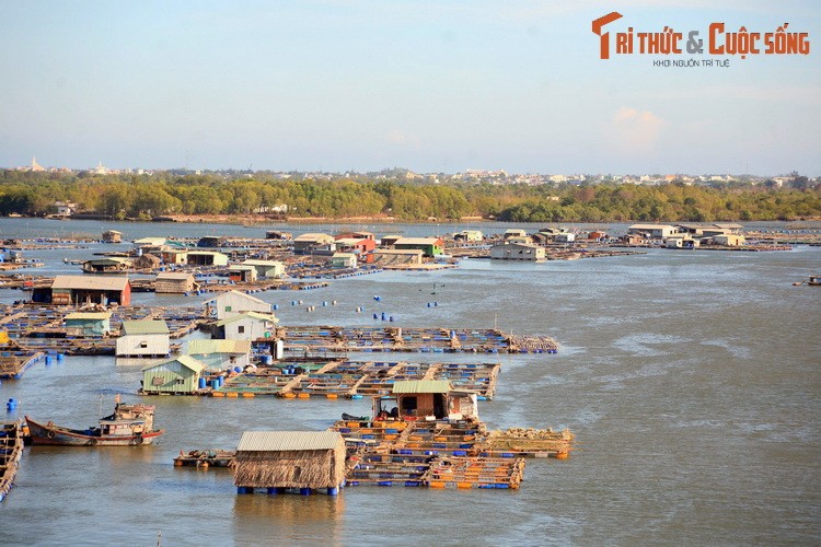 Nhung dieu cuc thu vi o lang be noi tieng nam canh Vung Tau-Hinh-7