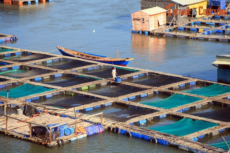 Nhung dieu cuc thu vi o lang be noi tieng nam canh Vung Tau-Hinh-8