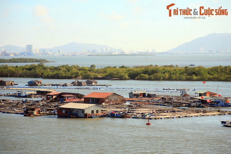 Nhung dieu cuc thu vi o lang be noi tieng nam canh Vung Tau