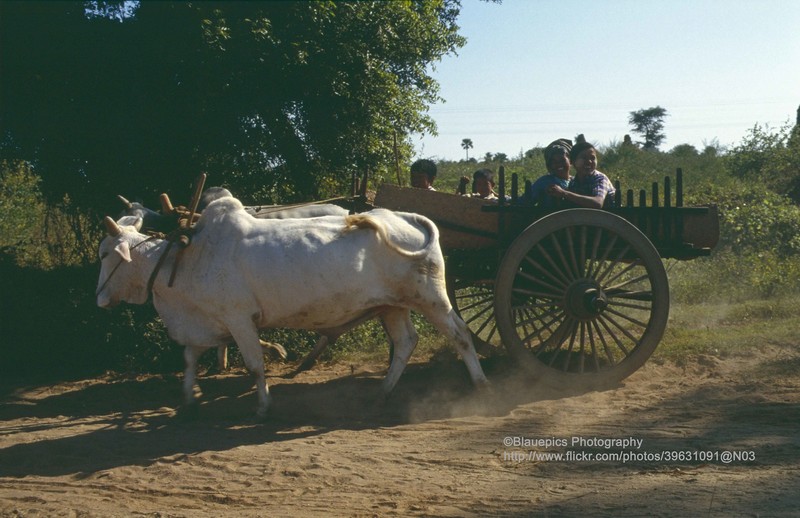 Loat anh dac biet ve thanh dia Bagan o Myanmar nam 1992-Hinh-10