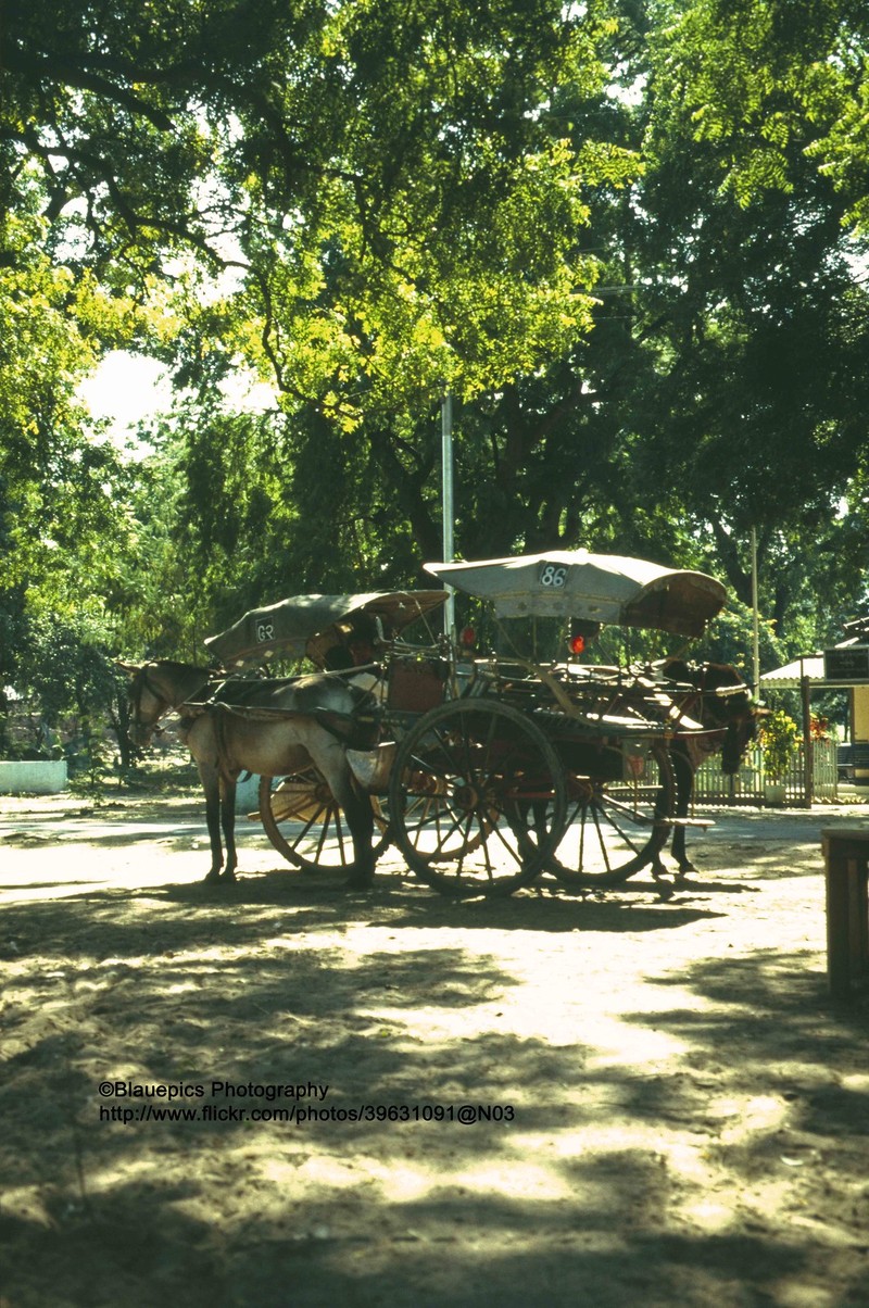 Loat anh dac biet ve thanh dia Bagan o Myanmar nam 1992-Hinh-11