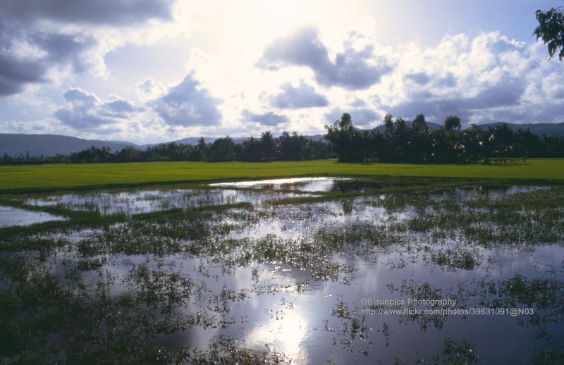 Hinh doc: Hanh trinh tu Nha Trang di Hue nam 1993 (1)-Hinh-12