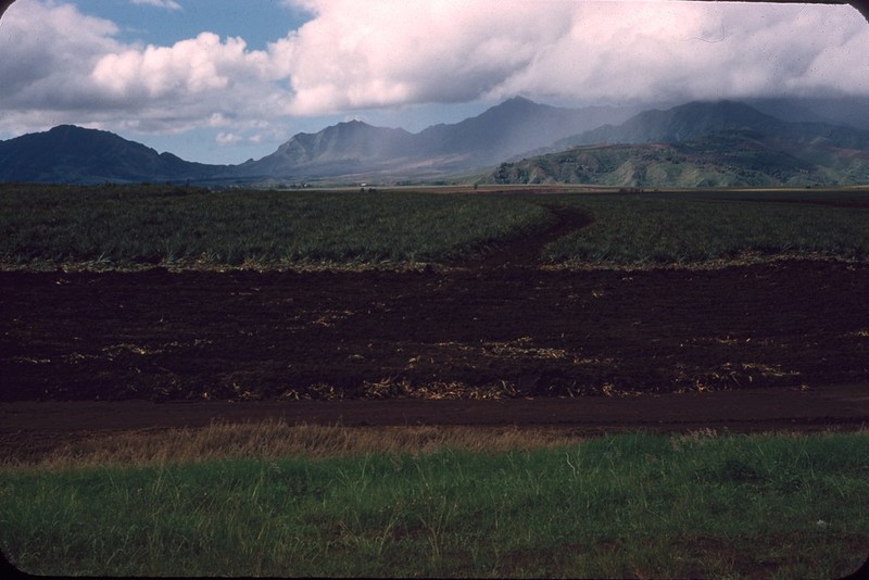 Anh hiem: Song “suong nhu tien” tren dao Hawaii 7 thap ky truoc-Hinh-9