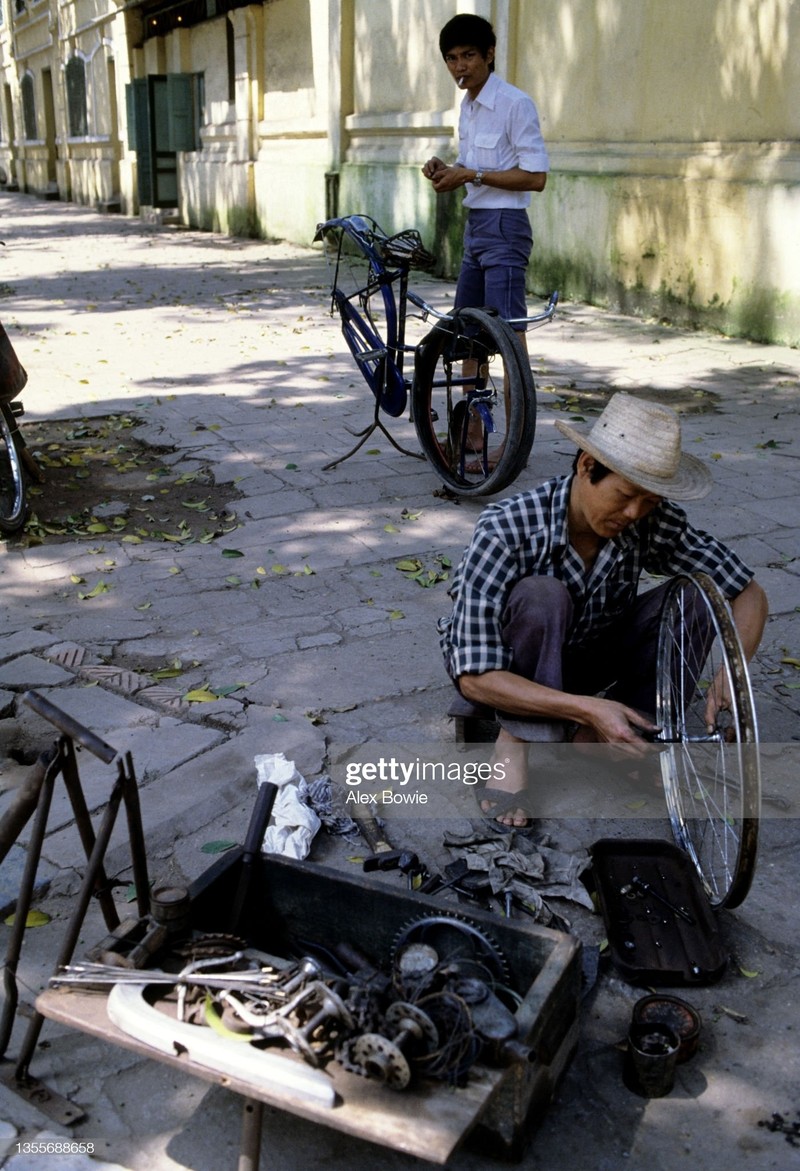 Ha Noi thoi bao cap qua loat anh quy cua Alex Bowie-Hinh-11