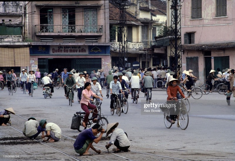 Ha Noi thoi bao cap qua loat anh quy cua Alex Bowie-Hinh-7