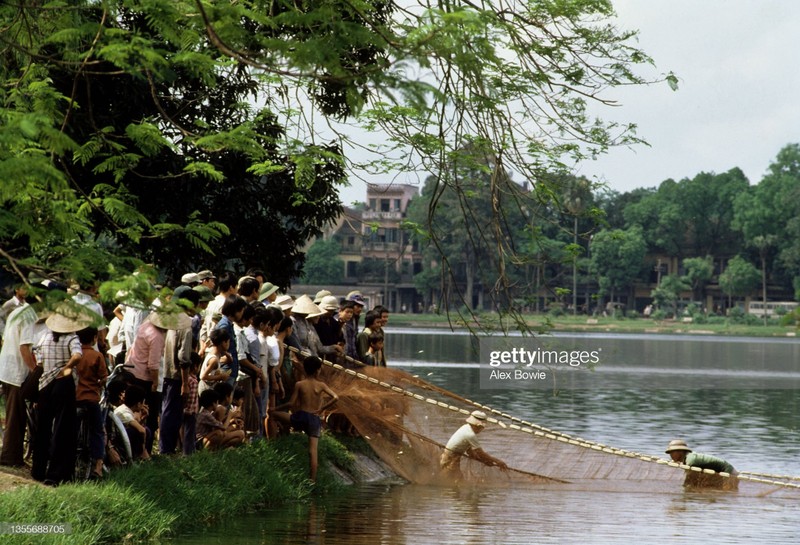 Ha Noi thoi bao cap qua loat anh quy cua Alex Bowie-Hinh-8