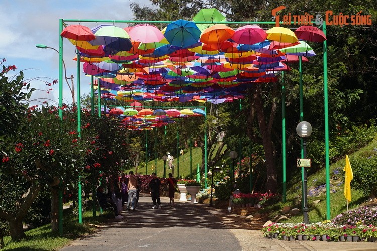 Dieu bat ngo ve vuon hoa lau doi, hut khach nhat Da Lat-Hinh-13