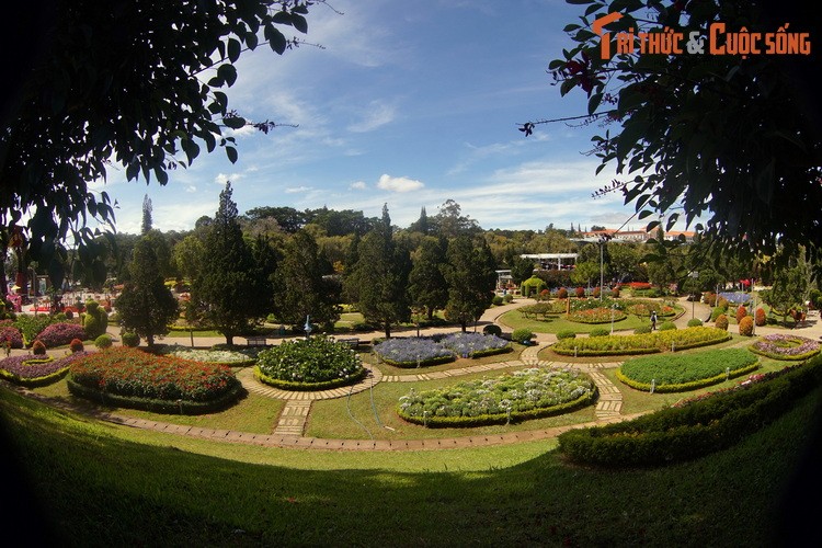 Dieu bat ngo ve vuon hoa lau doi, hut khach nhat Da Lat-Hinh-3