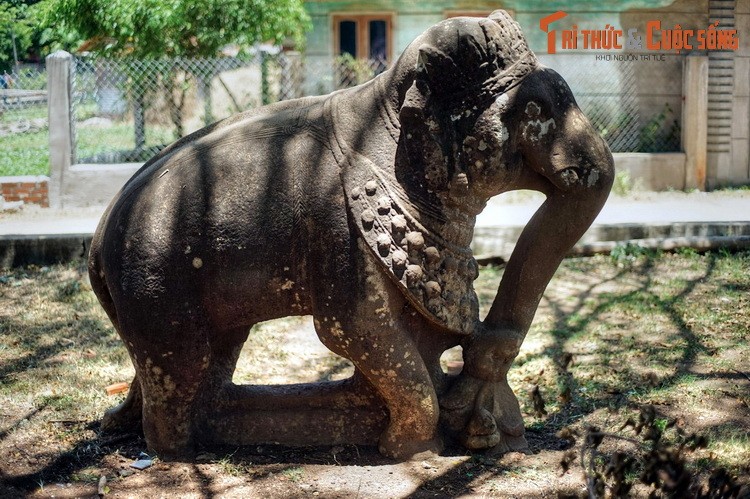 Soi “vo chong” voi ngan tuoi vua duoc cong nhan la Bao vat quoc gia-Hinh-7