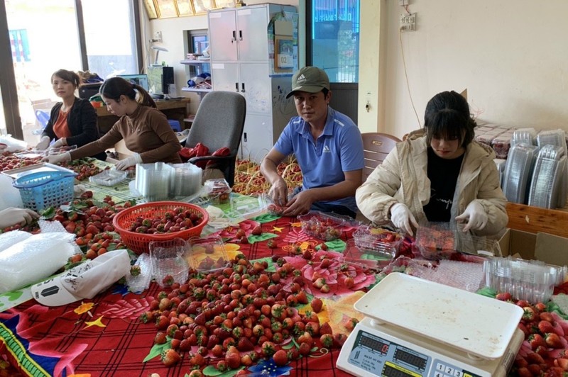 Dan Ha Noi ‘cuong’ dau tay Son La, nua dem chot mua hang nghin hop-Hinh-2